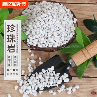珍珠岩大颗粒多肉颗粒土蛭石营养土养兰花专用园艺土植料颗粒养花