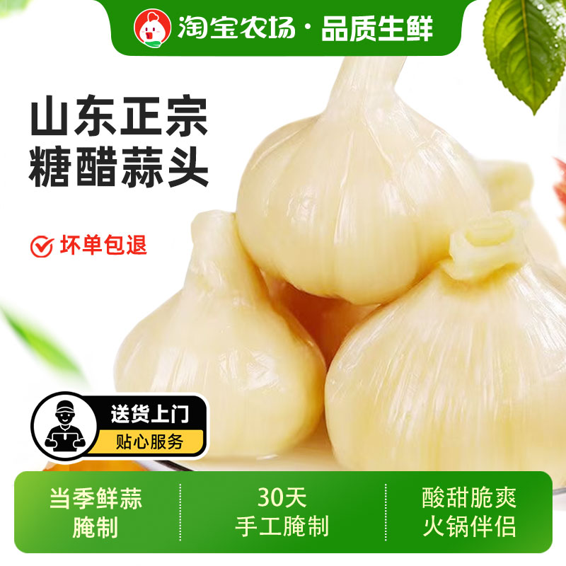山东正宗糖蒜头糖醋大蒜头下饭菜新蒜腌制新鲜咸菜紫皮保存醋蒜