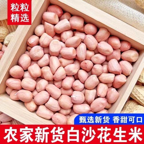 当季新货花生米颗粒饱满白沙白皮花生米农家生花生仁榨油家用商用