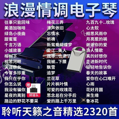 浪漫抒情电子琴U盘纯音乐乐器轻音乐U盘无损音质重低音伴奏曲优盘