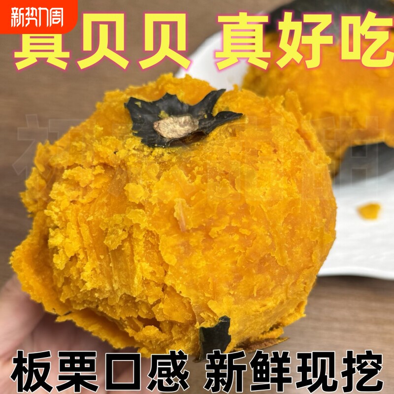 新鲜现挖5斤贝贝南瓜粉糯香甜栗子小南瓜婴儿辅食减脂粗粮板栗