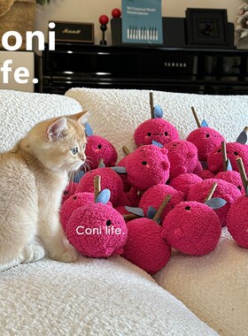 Conilife怪可爱猫咪磨牙