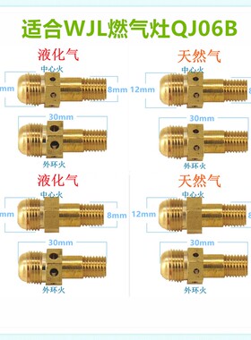 适合万家乐QJ06B燃气灶喷嘴气嘴改气源液化气天然气人工煤气沼气