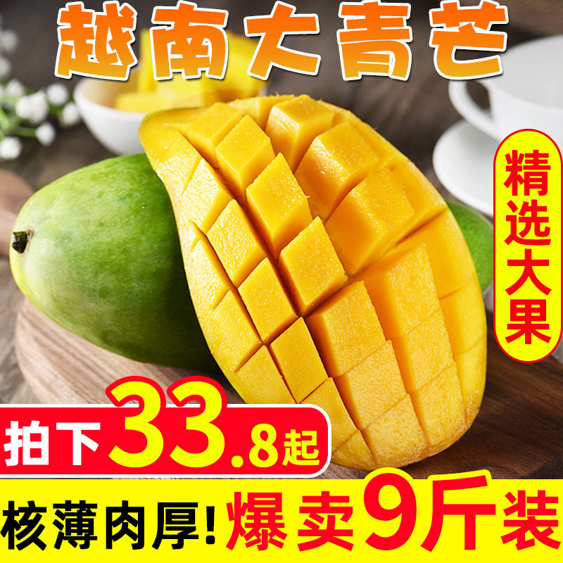 越南進口大青芒9斤新鮮芒果大青皮金煌甜心玉忙果整箱包郵在類目 水產肉類/新鮮蔬果/熟食, 新鮮水果, 芒果中 - 來自Buy2taobao.com提供專業的淘寶代購服務