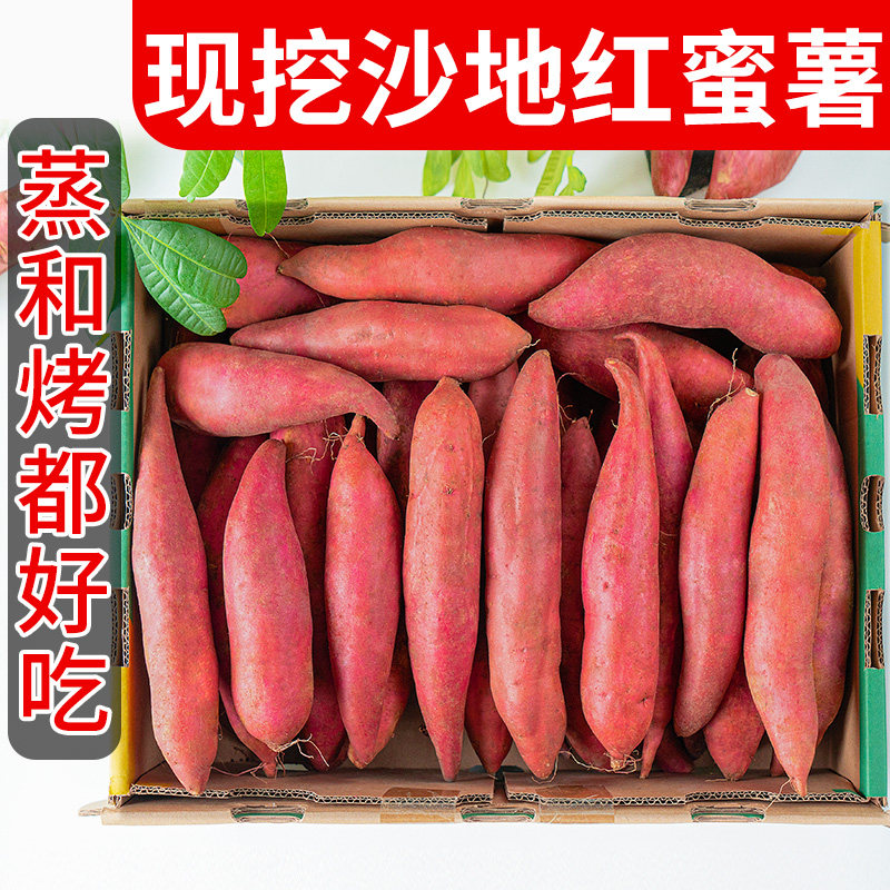 【新鲜现挖】西瓜红蜜薯9斤整箱番薯六鳌红薯农家沙地自种地瓜10