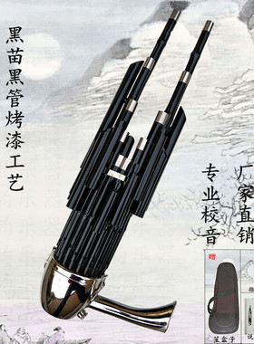 宏盛17簧笙乐器大全专业笙全黑烤漆成人演奏活斗GDCE调黑檀木笙脚