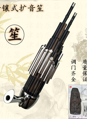 17簧扩音笙乐器专业成人儿童CEGD调初学入门笙厂家直销黑檀木笙脚