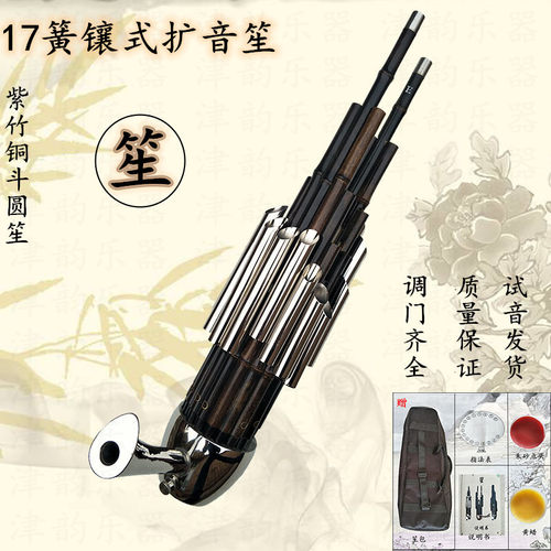 专业儿童成人初学入门笙乐器宏盛