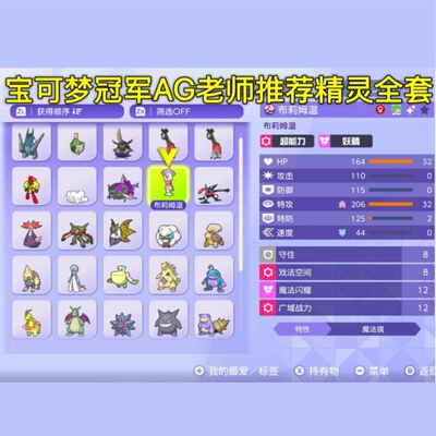 Pokémon  宝可梦冠军队伍 全精灵图鉴 满级满努力搭配 宝冠军