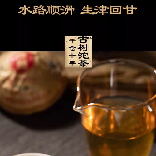顺宁号沱茶生茶自饮口粮滇红普洱