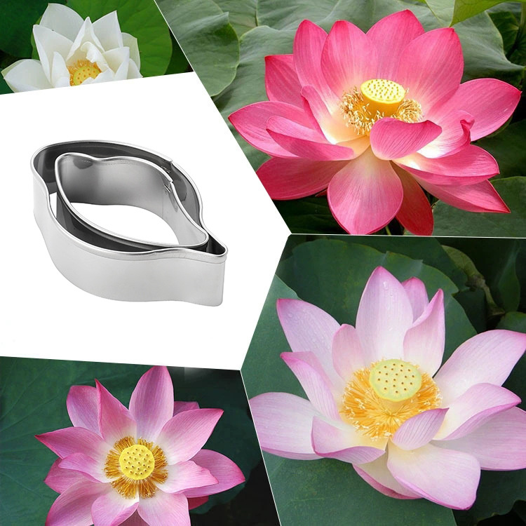 不锈钢莲花花瓣套装模具糖花翻糖切模荷花面食蛋糕烘焙造型工具