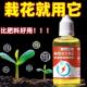 植物活力素花卉养花绿植枯树复活园艺通用促花液体营养花草营养液