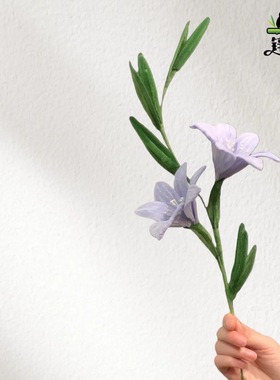 扭棒手工自d蜜好夹单支扭合集精致花朵制iy材料包送闺友 自备板