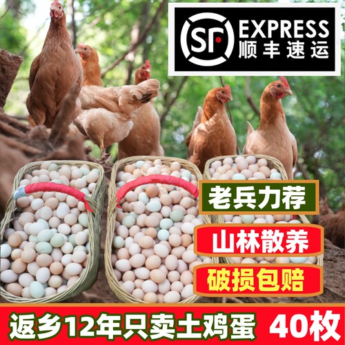 顺丰包邮老兵散养土鸡蛋现捡现发