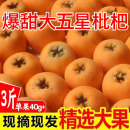 枇杷鲜果新鲜当季 水果大五星枇杷整箱现摘特级琵琶果四川米易枇杷