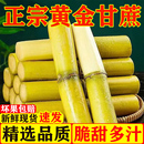 水果批发比东北甜杆更甜松软爆汁 云南黄金甘蔗新鲜应季 彩箱