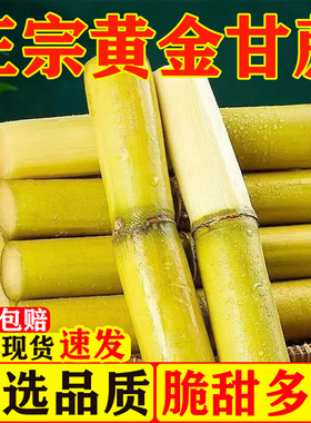 【彩箱】云南黄金甘蔗新鲜应季水果批发比东北甜杆更甜松软爆汁