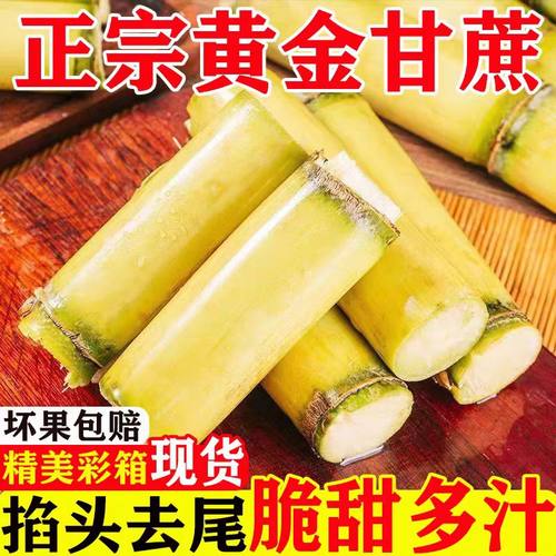 云南黄金甘蔗新鲜脆甜黄皮甘蔗