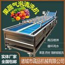 全自动杨梅果蔬清洗机大型菌菇清洗加工设备气泡蔬菜清洗机