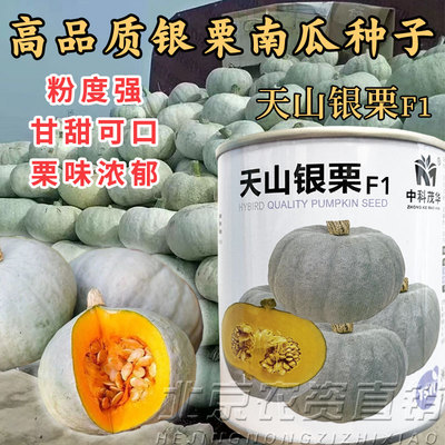 蔬菜种子籽孑白皮粉糯甘甜