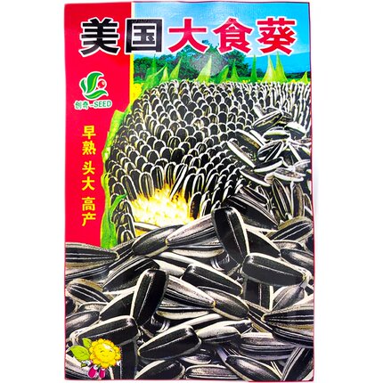 高产头大大粒向日葵种子 早熟美国大食葵花种子 大田基地种植菜籽