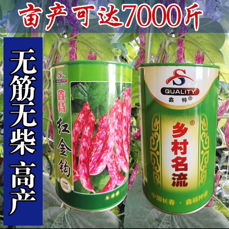 红金钩架豆种子春秋播产量高