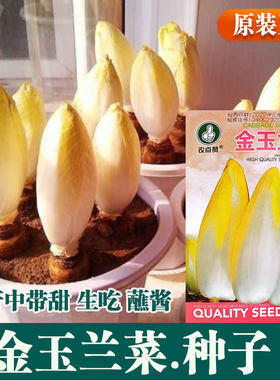 金玉兰菜种子生吃蘸酱