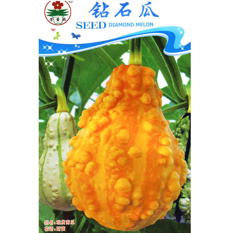 钻石瓜玩具南瓜种子天鹅瓜老君香炉瓜七彩小南瓜特大巨型南瓜种子