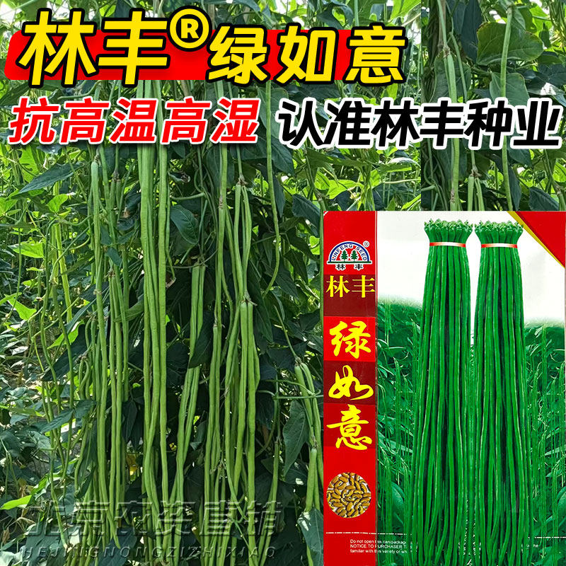 林丰绿如意长豆种子深绿条特长豆角豇豆种子籽抗高温耐老蔬菜种籽,农用物资,蔬菜种子/种苗,淘宝优惠券,粉丝福利购,淘宝优惠卷