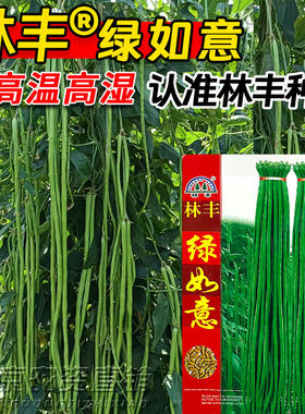 林丰绿如意长豆种子抗高温耐老