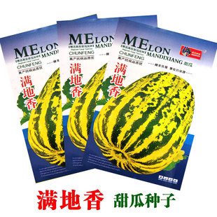 特大甜瓜香瓜种子种籽孑黑面瓜四季香甜羊角酥蜜牛角蜜瓜大全正品