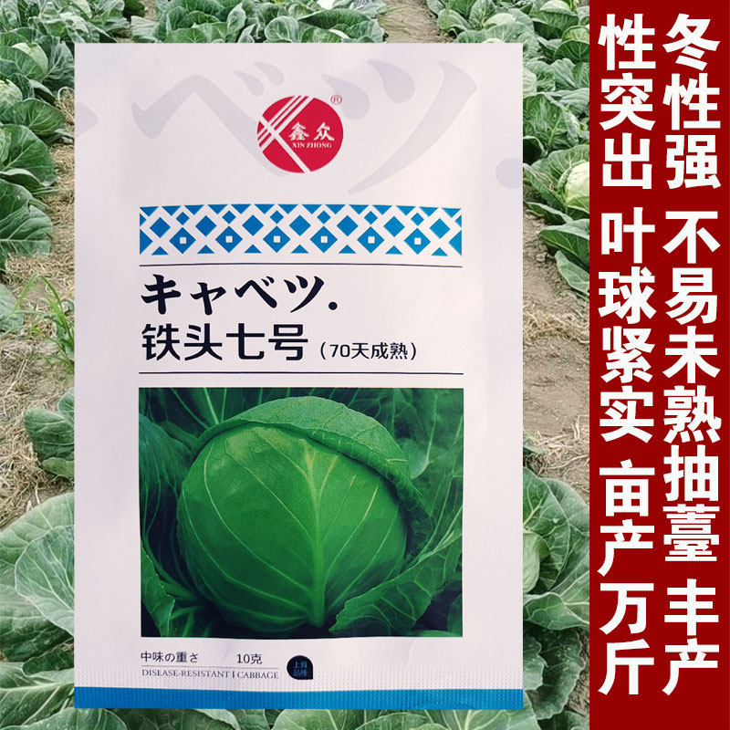 日本铁头60甘蓝包菜种子卷心菜种籽大头菜籽圆白菜种子莲花白种孑