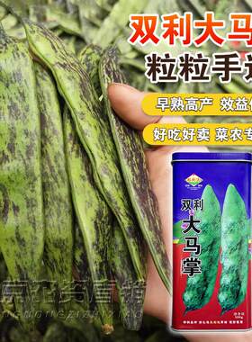 大马掌豆角种籽新籽正宗东北油豆角种子宽油豆无筋无柴开锅烂糊