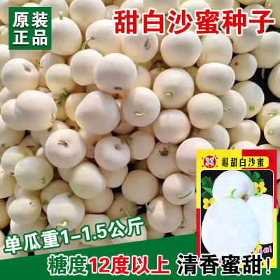超甜白沙蜜种子早熟高产四季