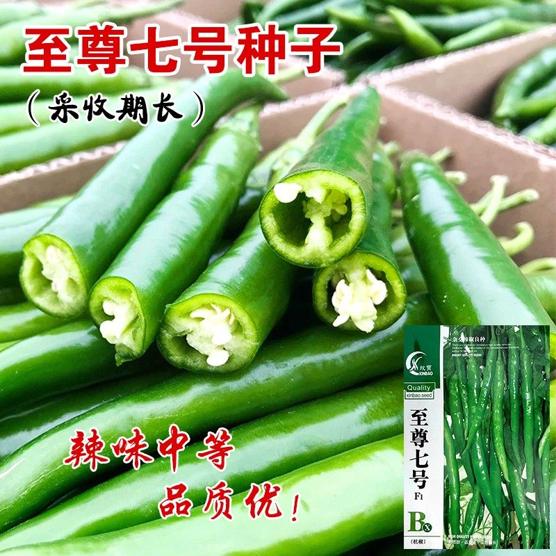蔬菜种子正宗本地杭椒种子杭椒一号小尖椒辣椒红线椒青椒不辣包邮,鲜花速递/花卉仿真/绿植园艺,家庭园艺种子,淘宝优惠券,粉丝福利购,淘宝优惠卷