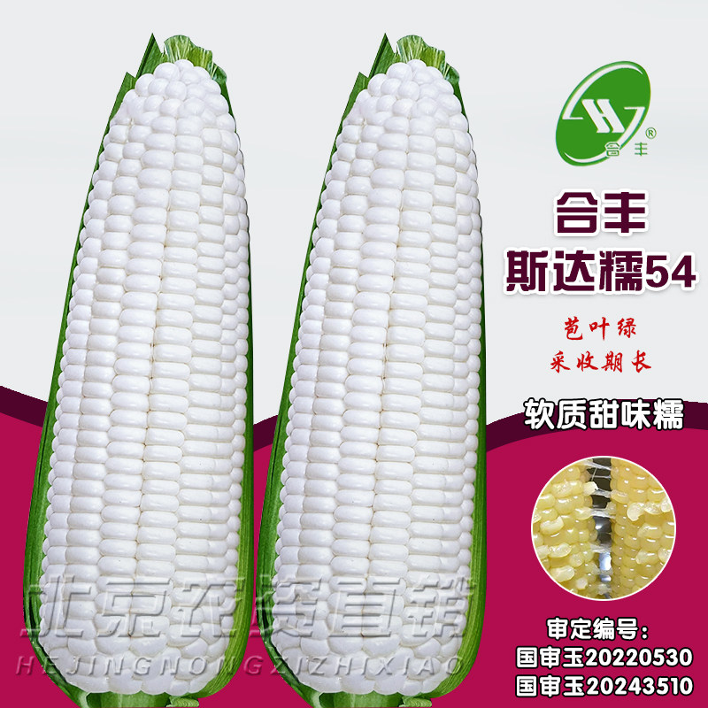 白甜糯玉米种子大棒型甜味糯玉米种子籽苞叶绿软质甜味糯斯达糯54,农用物资,玉米种子/种苗,淘宝优惠券,粉丝福利购,淘宝优惠卷