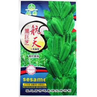 航天黑芝麻种子优质庭院种植早熟高产含油高黑发大田用种白芝麻籽