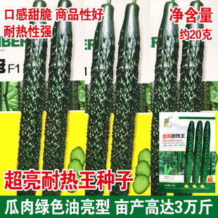 耐热王黄瓜种子绿瓤水果黄瓜籽种春夏秋季抗热密刺大田高产早熟