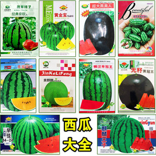 西瓜种子大全麒麟王子超甜冰糖脆黄瓤红瓤黑皮无籽瓜果种孑黑美人