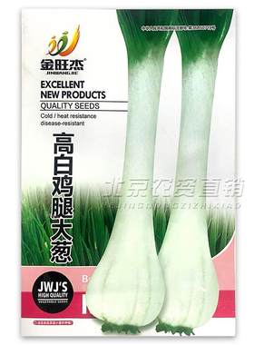 鸡腿葱种籽葱种子春季秋季阳台盆栽蔬菜籽长脖疙瘩大葱四季大头葱