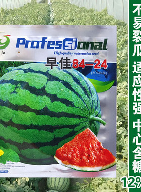 8424麒麟西瓜种子籽特大高产巨型无籽甜王薄皮小四季盆栽水果种孑