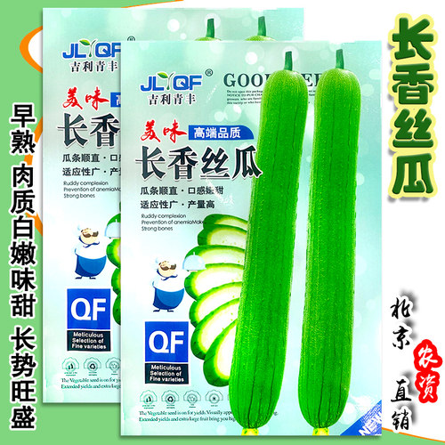 农家抗病薄皮春秋肉质细嫩香丝瓜
