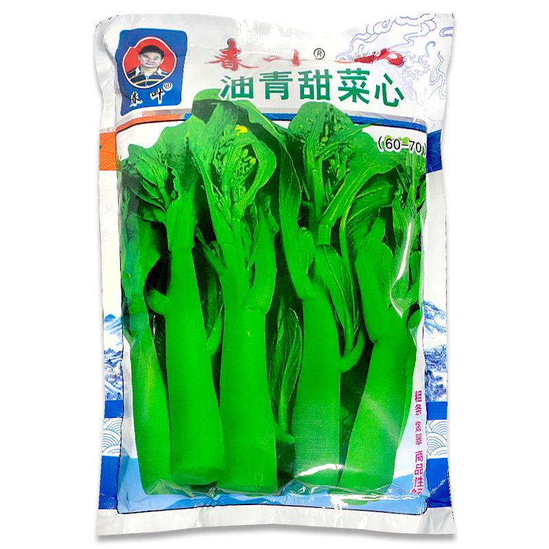 尖叶100天菜心种子基地专用