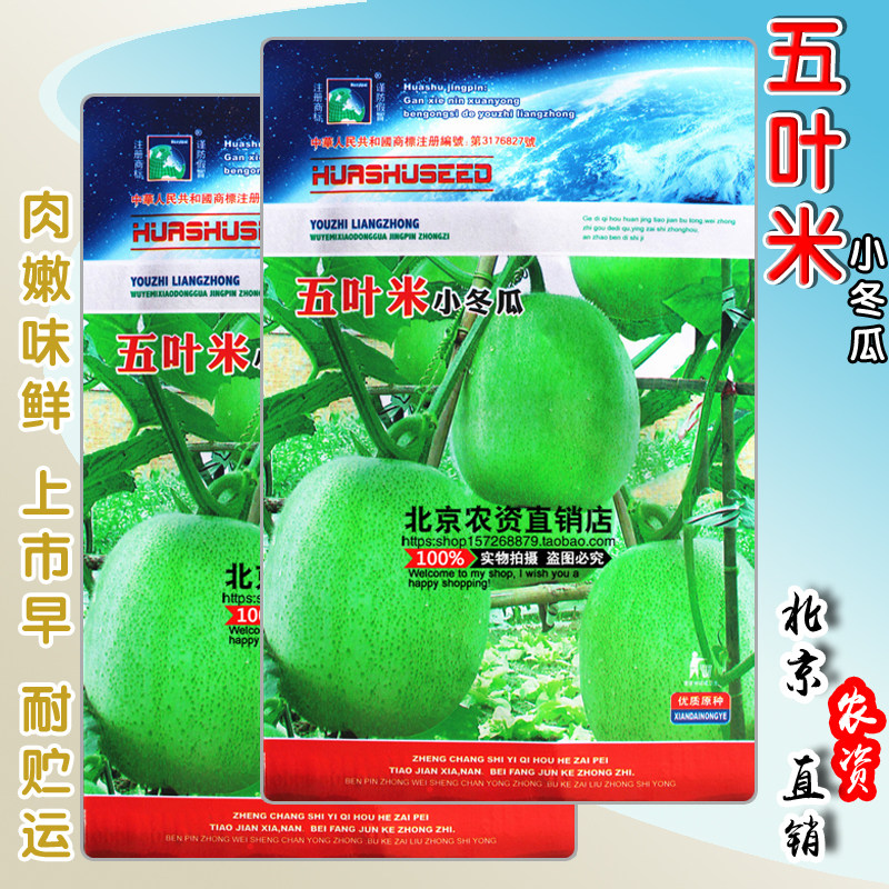五叶米小冬瓜种子 早熟抗病高产绿皮冬瓜籽 四季蔬菜口感好耐寒