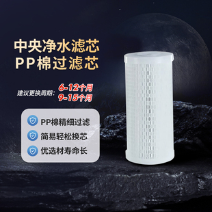 科勒净水器配件丽笙中央净水机替换PP棉滤芯耗材21732T R21731T