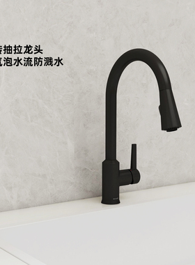 科勒厨房抽拉式龙头水槽洗菜盆家用洗碗池厨盆冷热水K-21366T