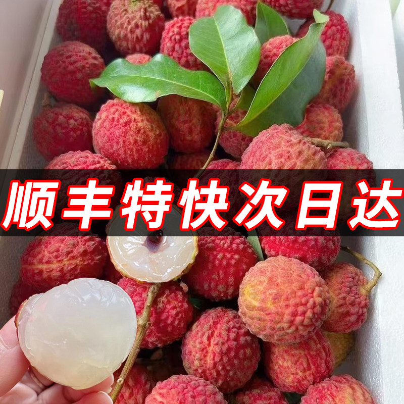 老树荔枝现摘当季水果超甜