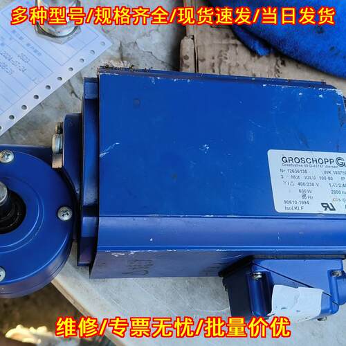 IGLU 100-80 格罗肖普GROSCHOPP大功率马达减速机议价维修