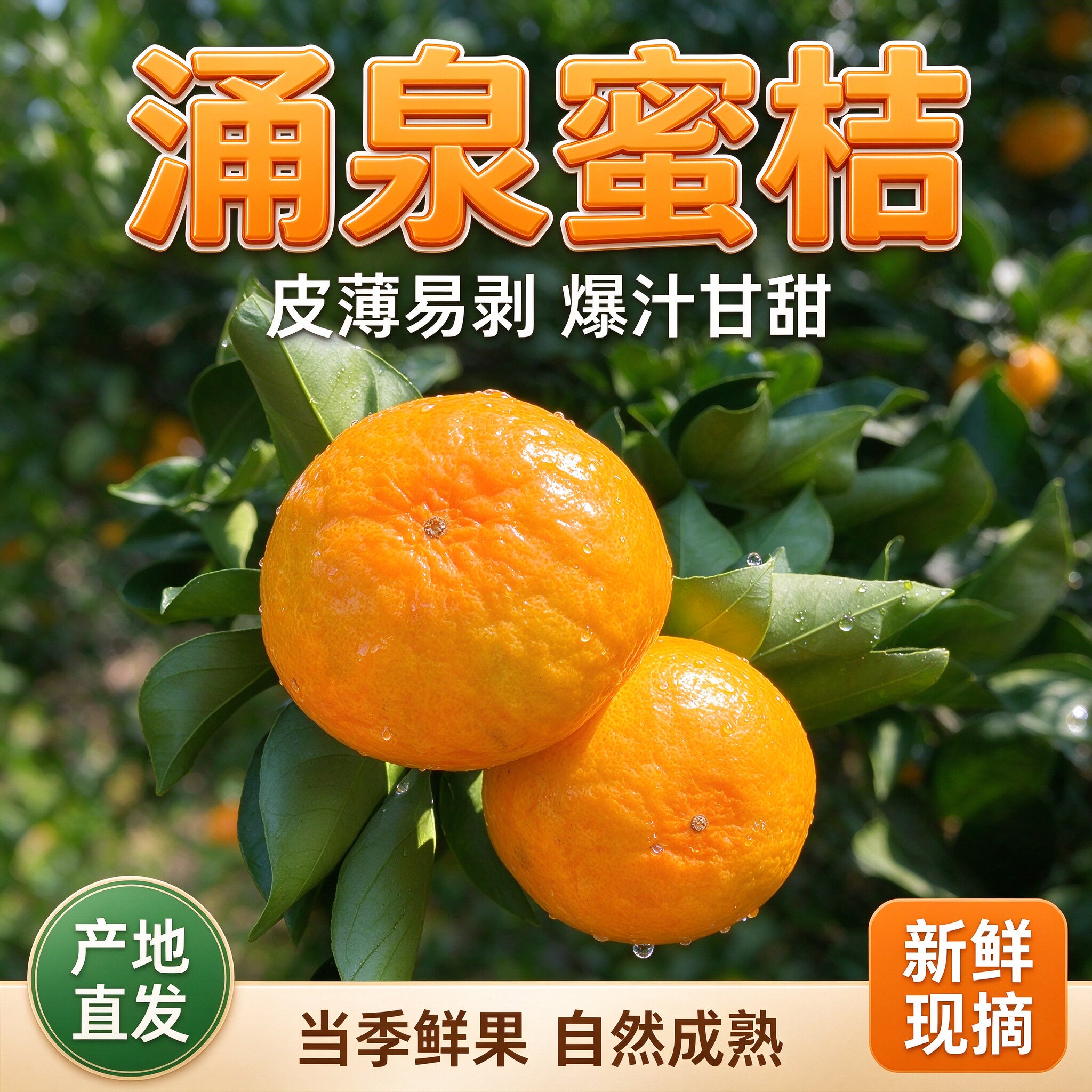 甜正宗涌泉高山蜜桔新鲜蜜桔