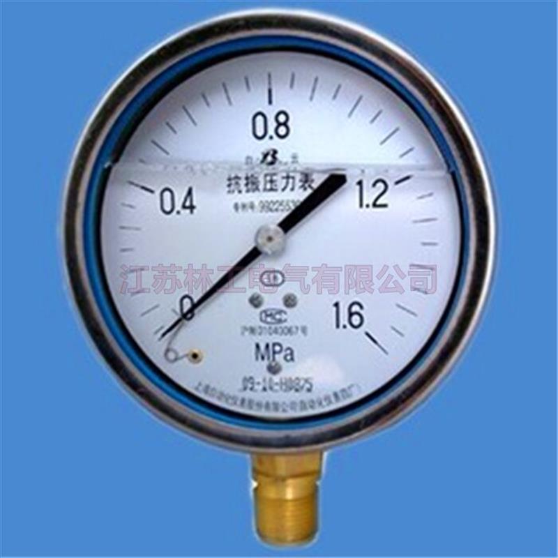 正品全不锈钢耐震压力表YN-100BF 1.6MPa
